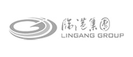 临港集团 LINGANG GROUP